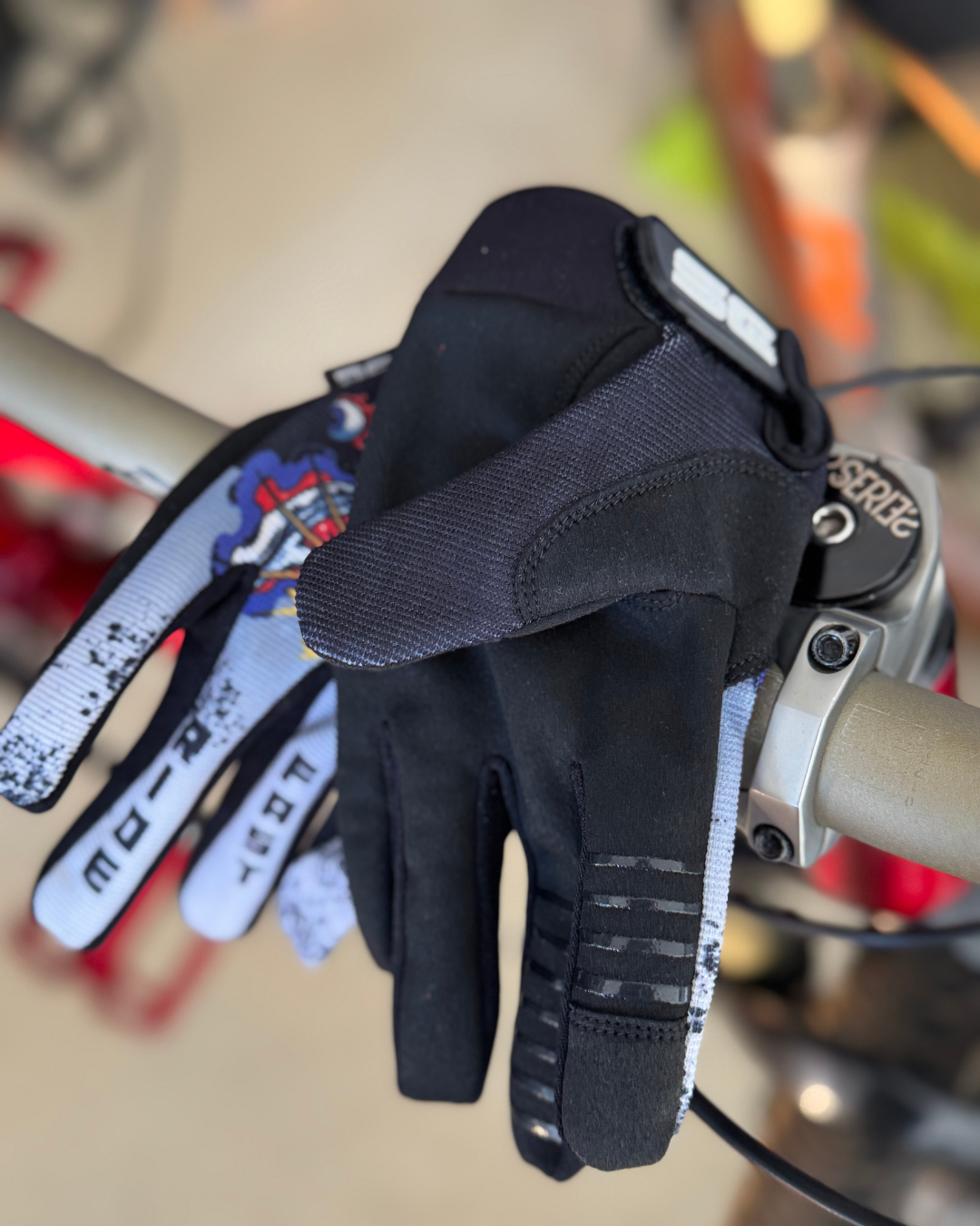 Vol. 2 Seeing Eye | Adult Gloves